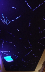 Lettere dal cielo