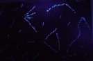 Lettere dal cielo
